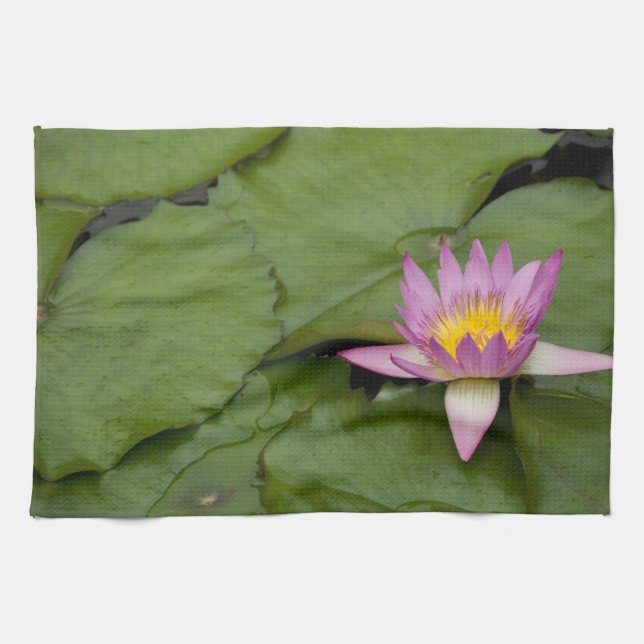 China, Hongkong, New Territories. Chi Lin Kökshandduk (Horisontell)