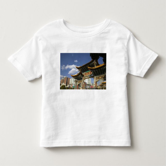 CHINA, provinsen Yunnan, Kunming. Memorial Arch Tee Shirt (Framsida)