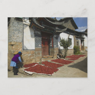 CHINA, provinsen Yunnan, Tianshengying. Torkning Vykort