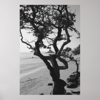 Chinamans Hat Poster