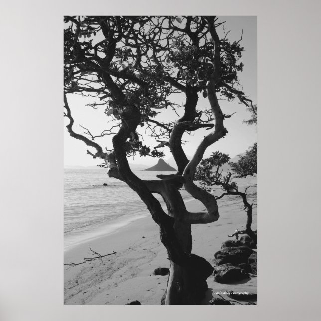 Chinamans Hat Poster (Framsidan)