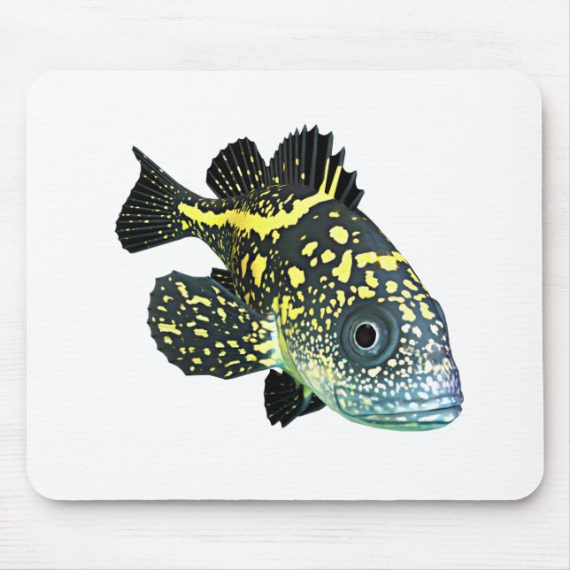 ChinaRockfish Musmatta (Framsidan)