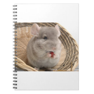 chinchilla anteckningsbok