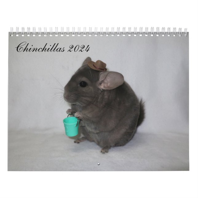 Chinchilla Calendar Kalender (Omslag)