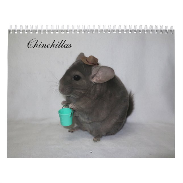 Chinchilla Calendar Kalender (Omslag)