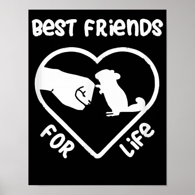 Chinchilla Gift Cute Chinchillas Gift Poster (Framsidan)