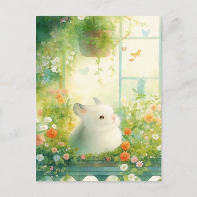 Chinchilla kikande från balkongens blomsterträdgår vykort (Framsida)