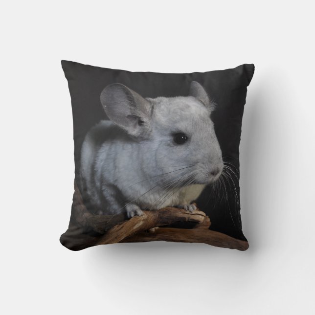 Chinchilla Kudde (Framsida)