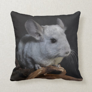Chinchilla Kudde