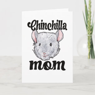 Chinchilla Mamma Chinchilla Owner Chinchilla Mamma Kort