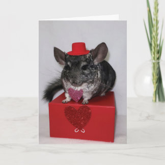 Chinchilla med rött top hat och hjärtkort kort