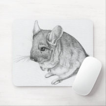 Chinchilla på musmattan