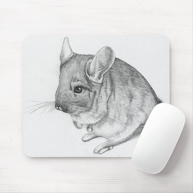 Chinchilla på musmattan musmatta (Med mus)