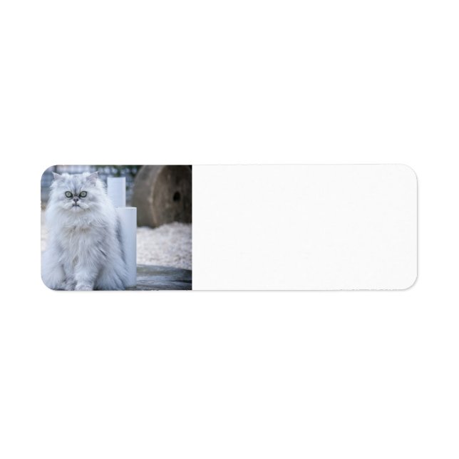 chinchilla persian returadress etikett (Framsidan)