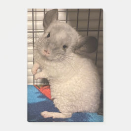Chinchilla Post-it Block