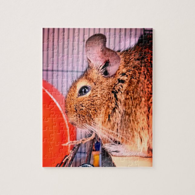 Chinchilla Pussel (Vertikal)