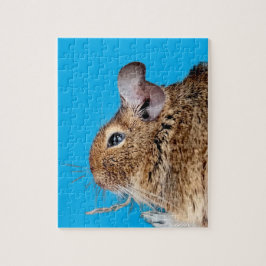 Chinchilla Pussel