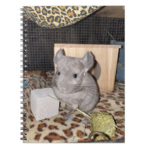 Chinchilla Spiral fotopatbok