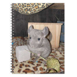 Chinchilla Spiral fotopatbok Anteckningsbok