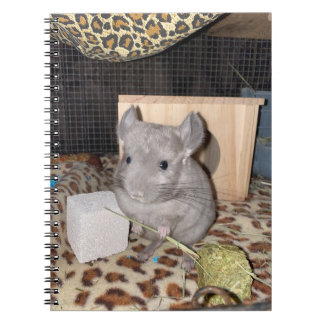 Chinchilla Spiral fotopatbok Anteckningsbok