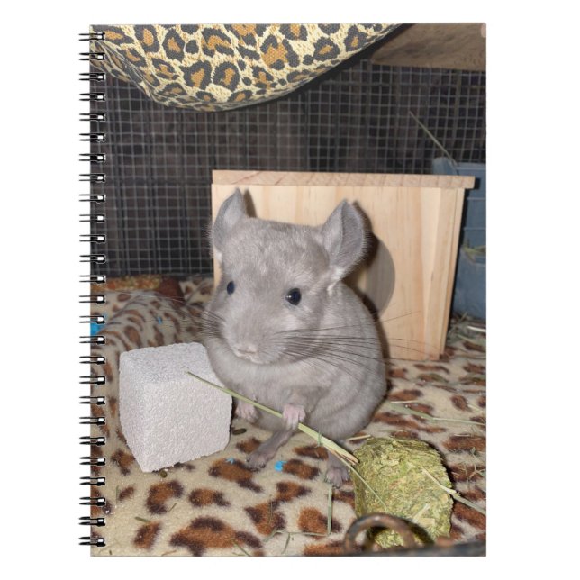 Chinchilla Spiral fotopatbok Anteckningsbok (Framsidan)