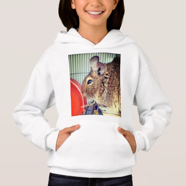 Chinchilla T Shirt (Framsida)