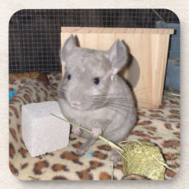 Chinchilla Underlägg