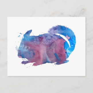 Chinchilla Vykort