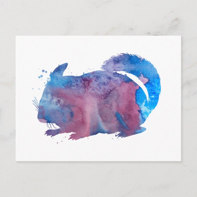 Chinchilla Vykort (Framsida)