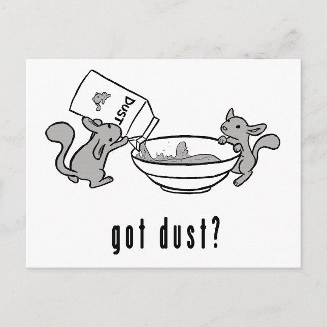 Chinchillahar dammar av vykortet vykort (Framsida)