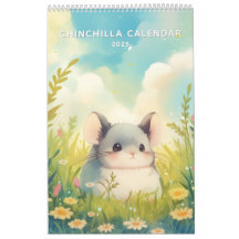 Chinchillin hela året 2025