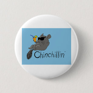 chinchillin knapp