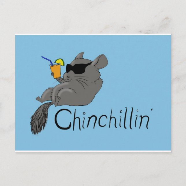 chinchillin vykort (Framsida)