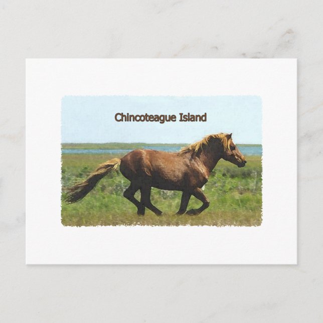 Chincoteague Island (med hingst logotyp) Vykort (Framsida)