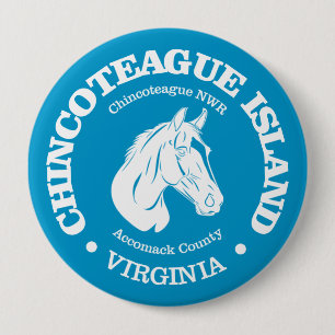 Chincoteague Island (ponny) Knapp