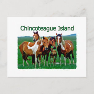 Chincoteague Island (ponnyer) Vykort