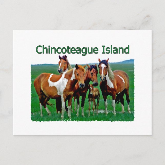 Chincoteague Island (ponnyer) Vykort (Framsida)