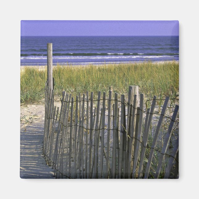 Chincoteague National Wildlife Refuge Magnet (Framsidan)