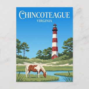 Chincoteague National Wildlife Refuge USA Vykort