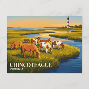Chincoteague National Wildlife Refuge USA Vykort