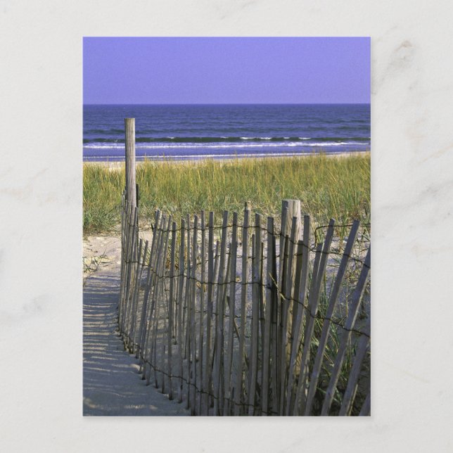 Chincoteague National Wildlife Refuge Vykort (Framsida)