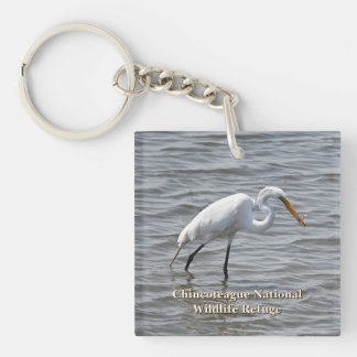 Chincoteague National Wildlife Underbar Heron Egre
