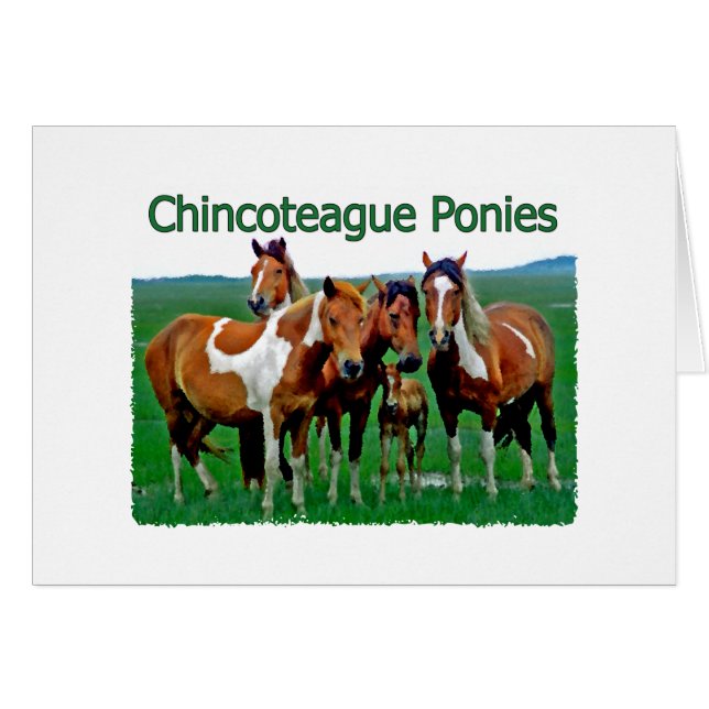 Chincoteague Ponies (familj) Hälsningskort (Framsidan Horizontal)