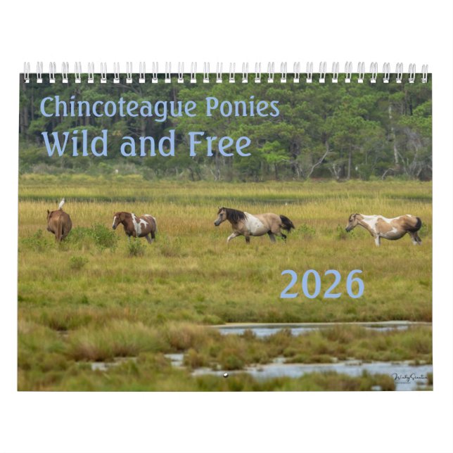 Chincoteague Ponies Wild and Free 2026 Calendar Kalender (Omslag)