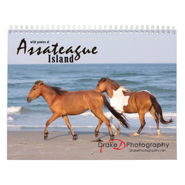 Chincoteague Pony Calendar Kalender (Omslag)