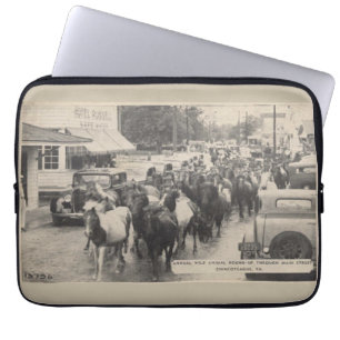 Chincoteague Pony Vintage 1941 Postcard Laptop Fodral
