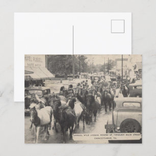 Chincoteague Pony Vintage 1941 Postcard Vykort