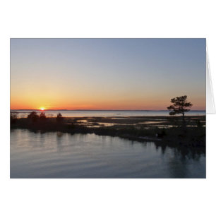Chincoteague Sunset I Virginia Ligcape Hälsningskort