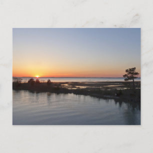 Chincoteague Sunset I Virginia Ligcape Vykort