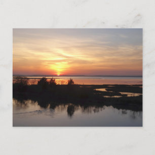Chincoteague Sunset II Virginia Ligcape Vykort